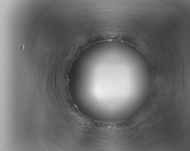 X0000080130961200612221853