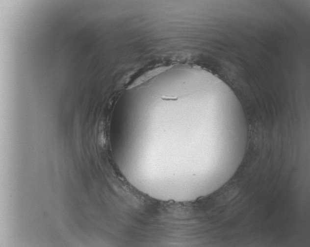 X0000080130962200612221853