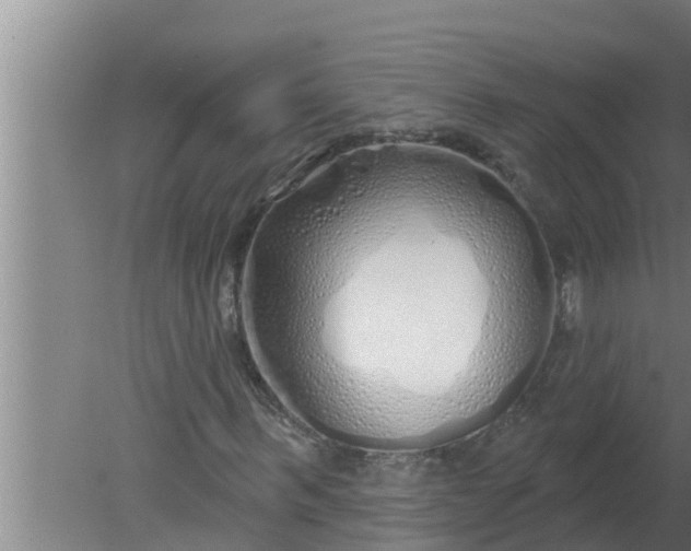 X0000080130963200612221853