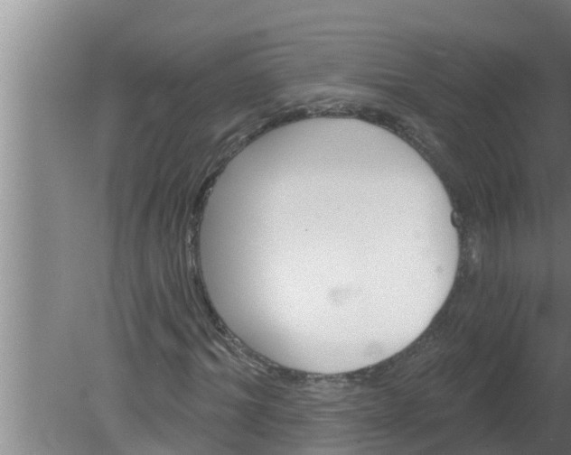 X0000080130964200612221853