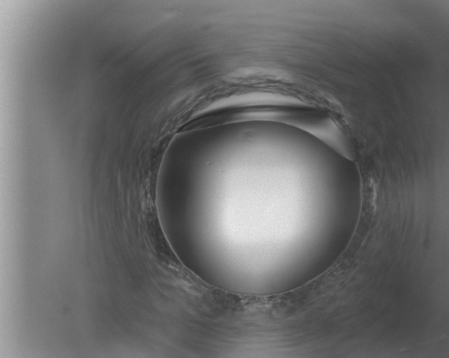 X0000080130965200612221853