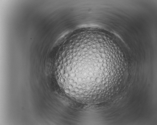 X0000080130967200612221853