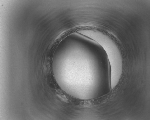 X0000080130968200612221853