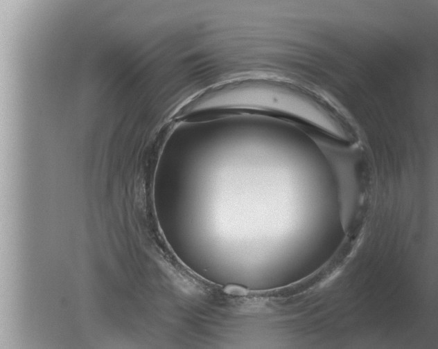 X0000080130969200612221853