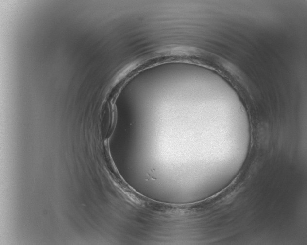 X0000080130970200612221853