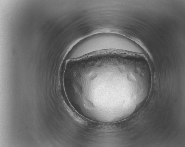 X0000080130972200612221853