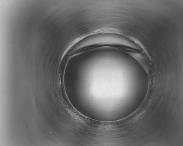 X0000080130973200612221853