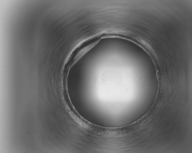 X0000080130976200612221853