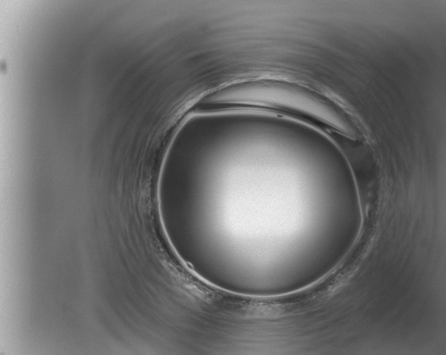 X0000080130977200612221853