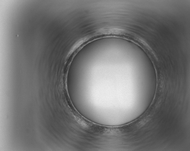 X0000080130978200612221853