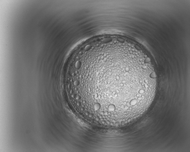 X0000080130979200612221853