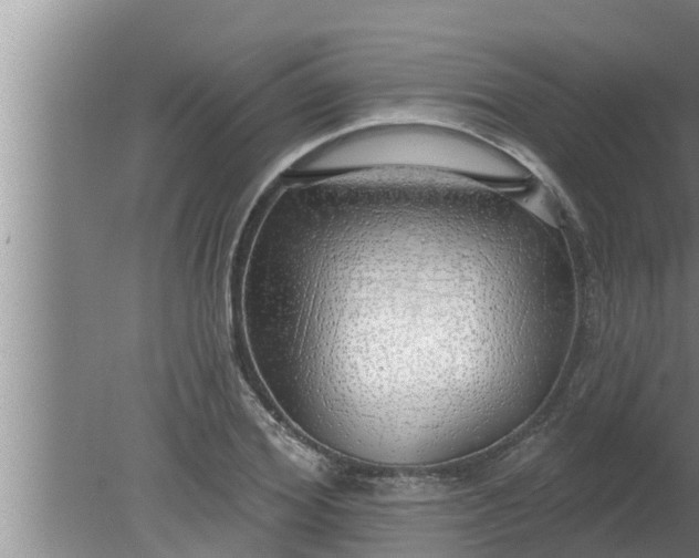 X0000080130980200612221853