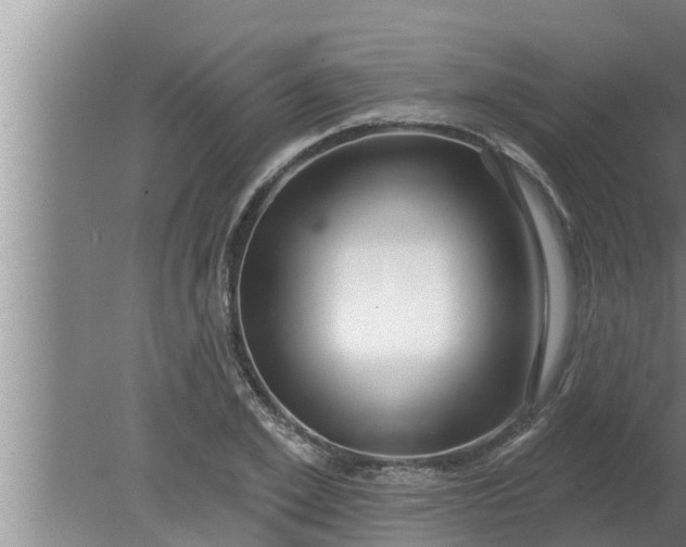 X0000080130981200612221853