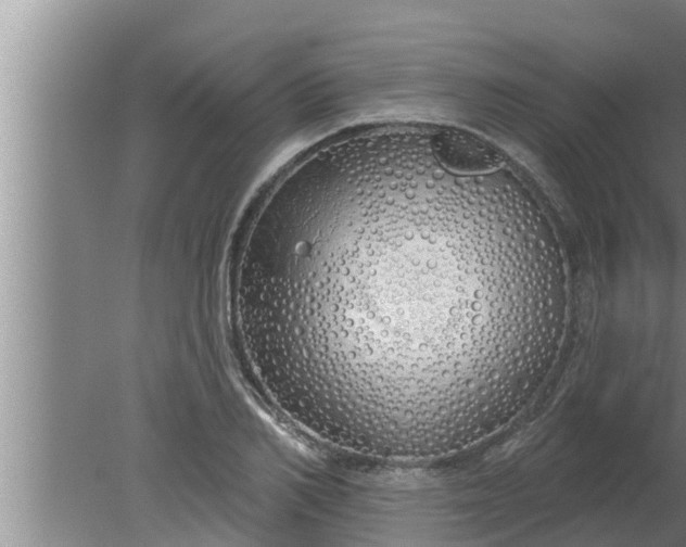 X0000080130982200612221853