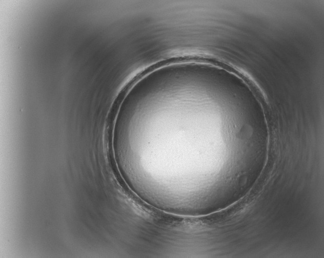 X0000080130983200612221853