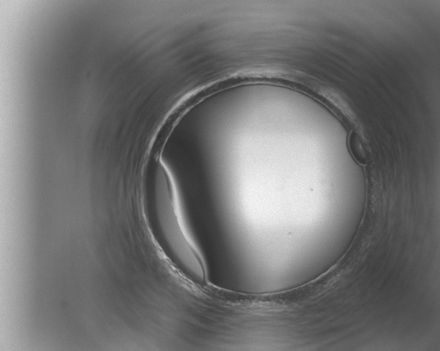 X0000080130984200612221853