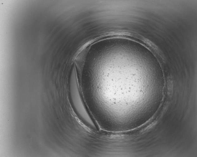 X0000080130985200612221853