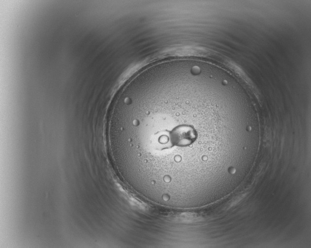 X0000080130986200612221853