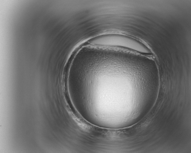 X0000080130987200612221853