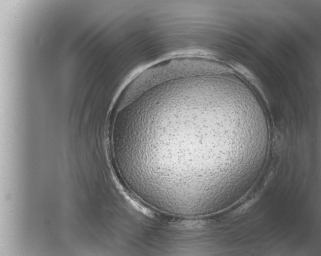 X0000080130989200612221852