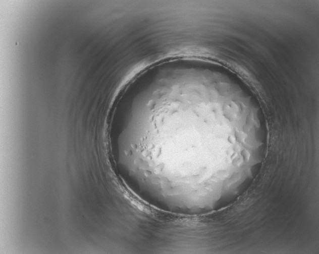 X0000080130990200612221852