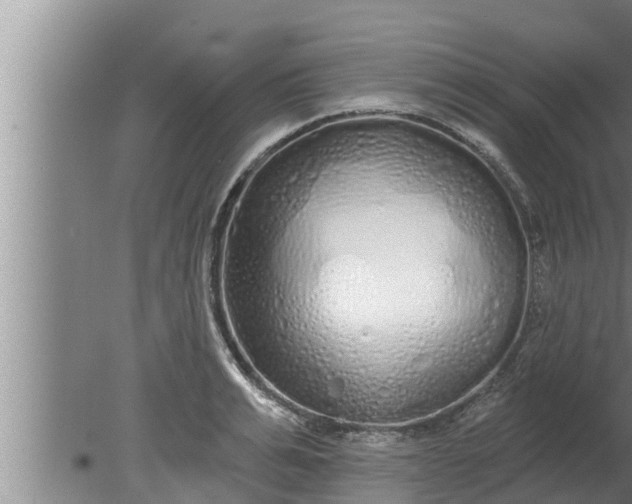 X0000080130991200612221852