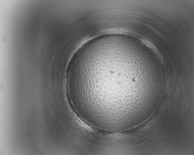 X0000080130992200612221852