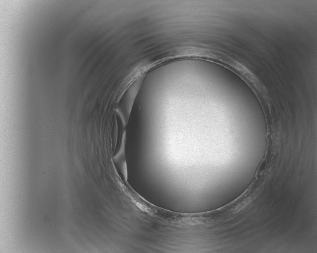 X0000080130993200612221852