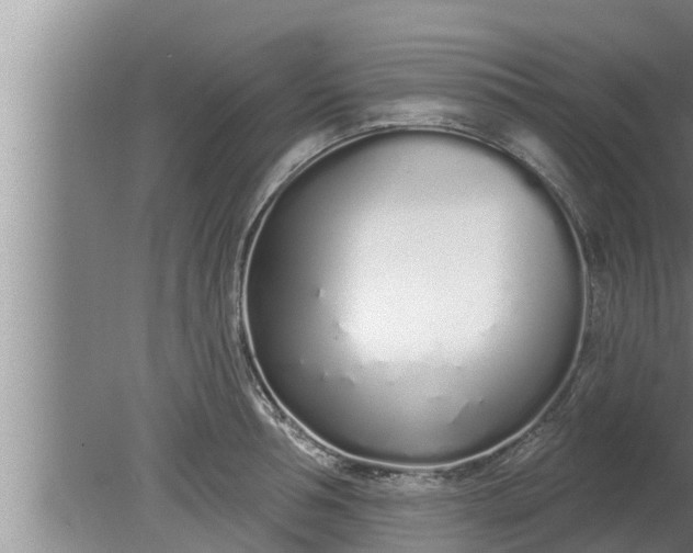 X0000080130994200612221852