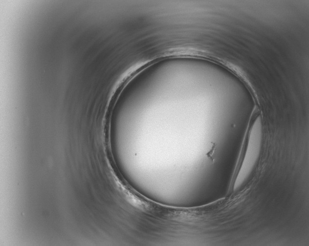 X0000080130995200612221852