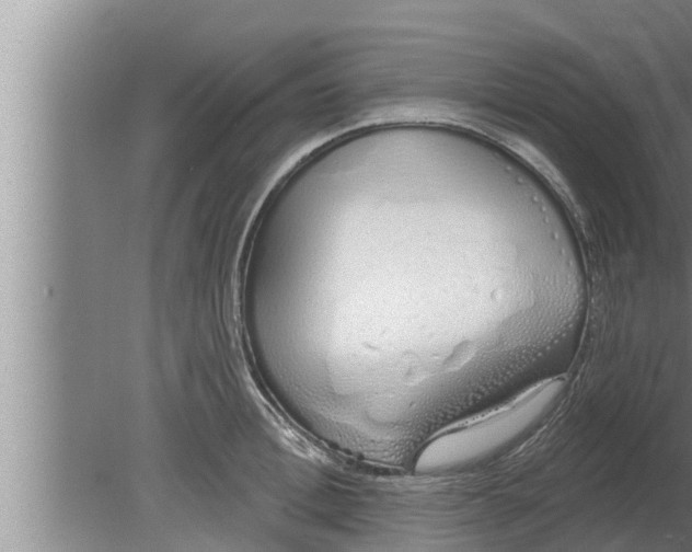 X0000080130996200612221852