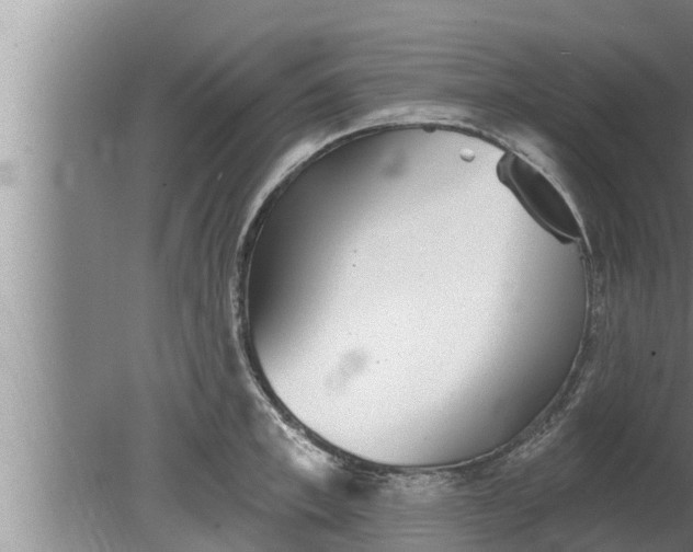 X0000080130997200612221852