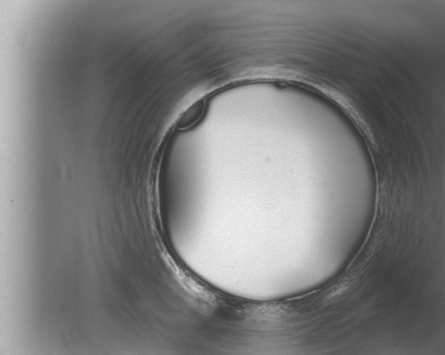 X0000080130998200612221852