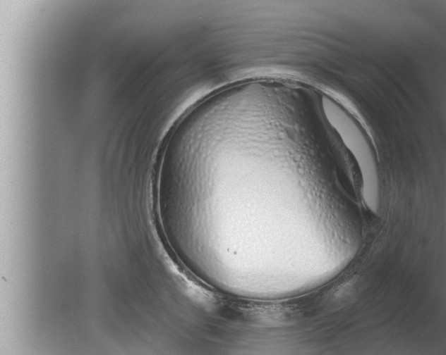 X0000080130999200612221852