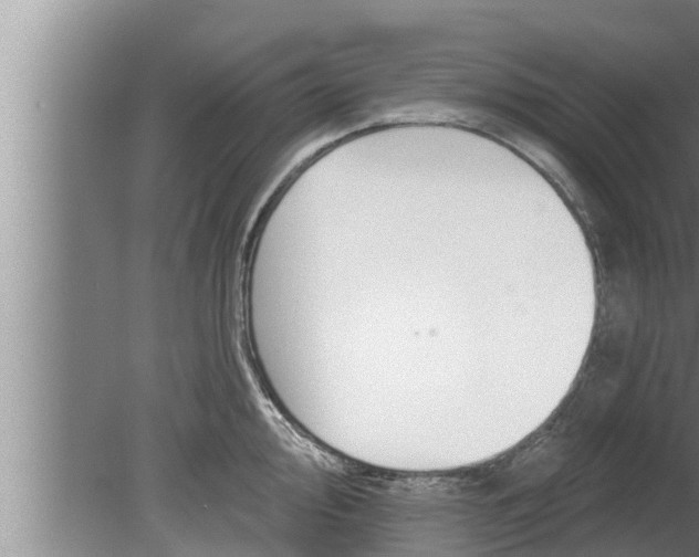 X0000080131000200612221852