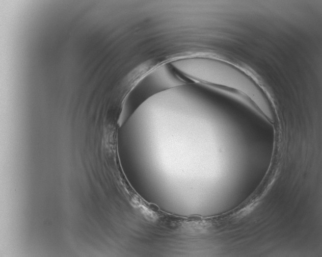 X0000080131001200612221852