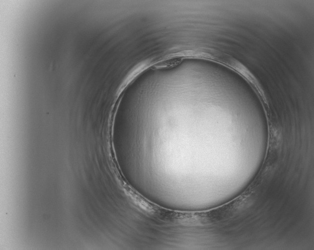 X0000080131002200612221852