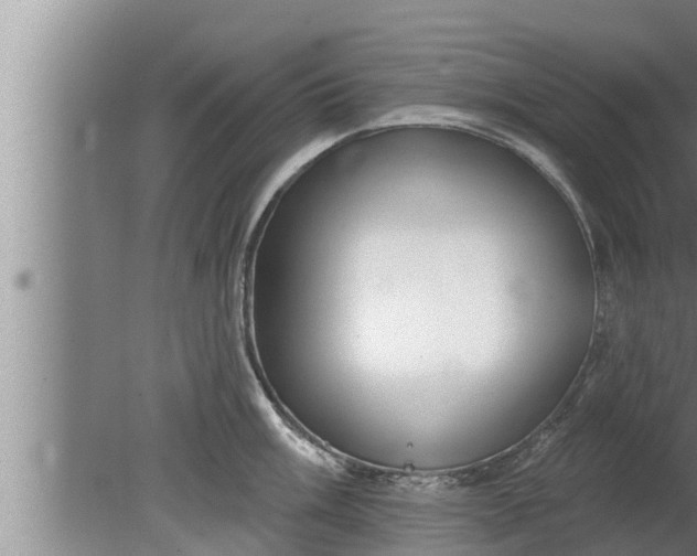 X0000080131003200612221852