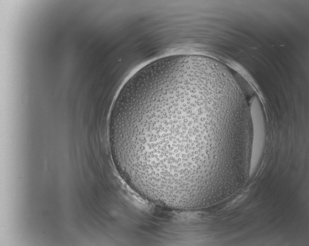 X0000080131004200612221852