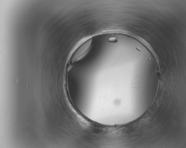 X0000080131005200612221852