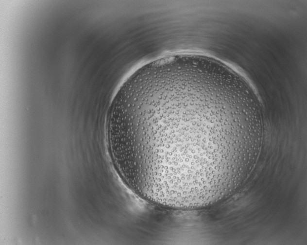 X0000080131006200612221852