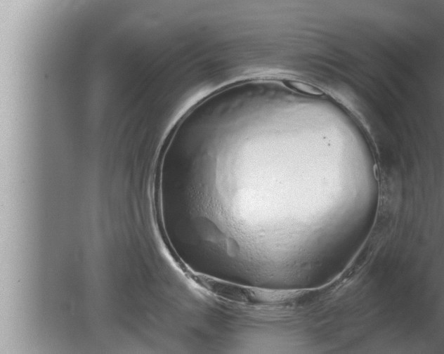 X0000080131007200612221852