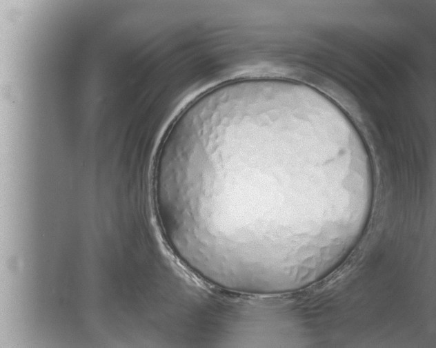 X0000080131008200612221852