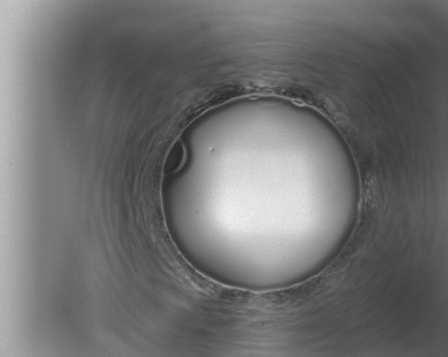 X0000080131009200612221851