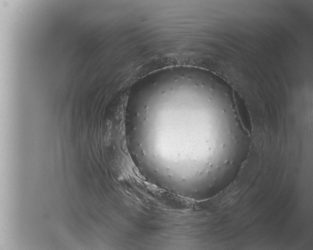 X0000080131010200612221851