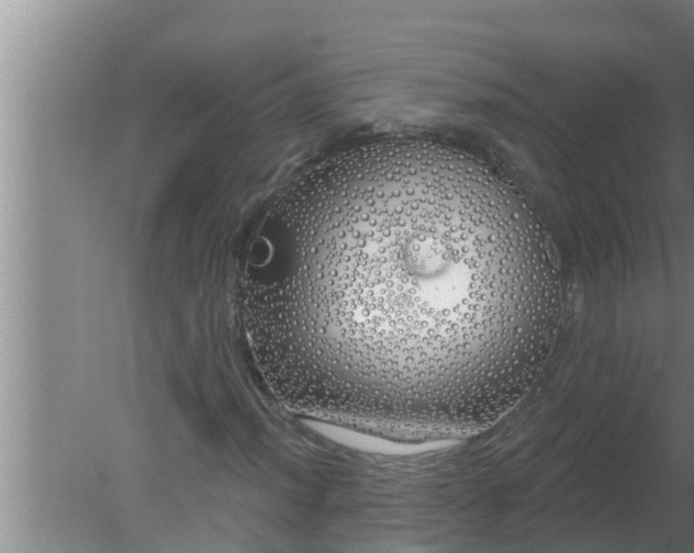 X0000080131012200612221851