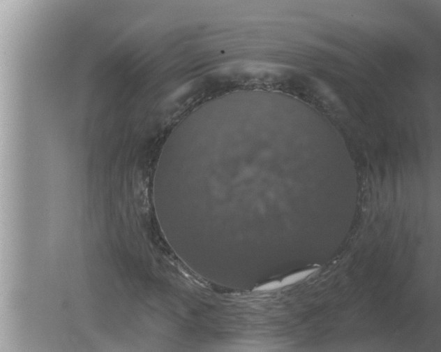 X0000080131013200612221851