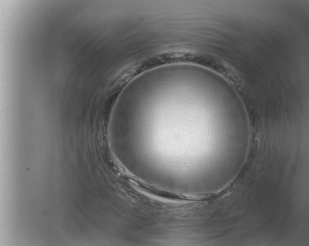 X0000080131014200612221851