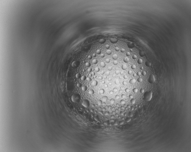 X0000080131015200612221851