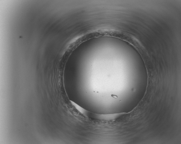 X0000080131016200612221851